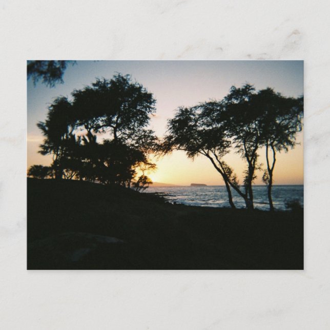 Maui Sunset Vykort (Framsida)