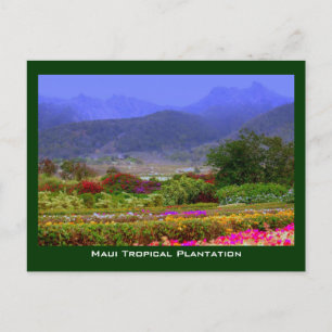 Maui Tropical Plantation Väster Maui Mountains Vykort