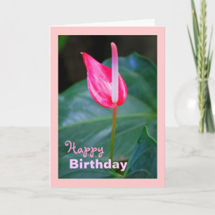 Maui tropisk röd Anthurium, födelsedag Kort