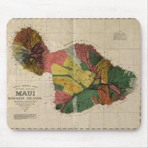 Maui - Vintage Antiquarian Hawaii Survey Karta, 18 Musmatta