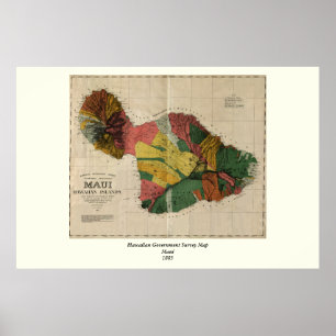 Maui - Vintage Antiquarian Hawaii Survey Karta, 18 Poster