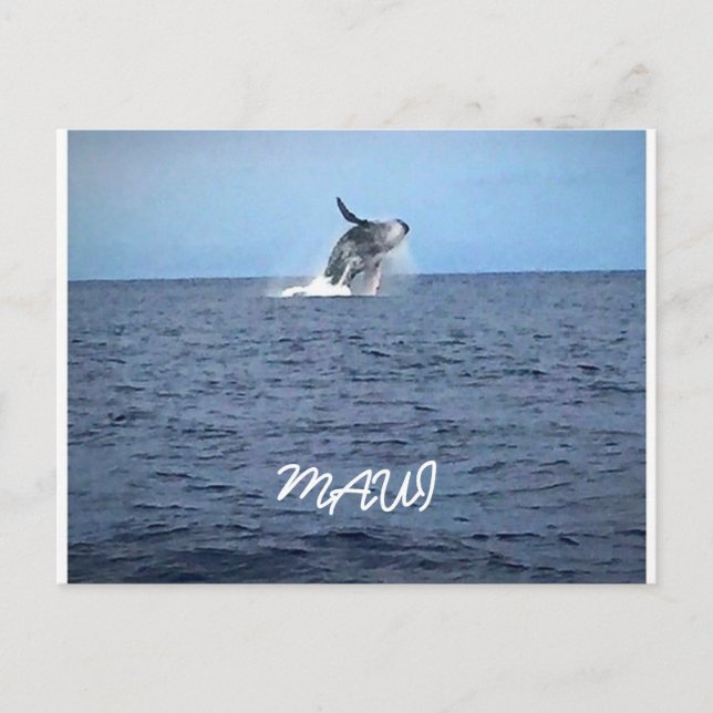 Maui Vykort (Framsida)