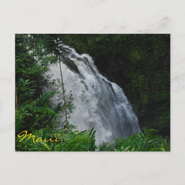 Maui Waterfall Postcard Vykort (Framsida)