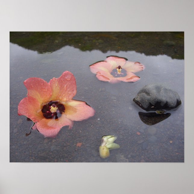 Maui Zen Poster (Framsidan)