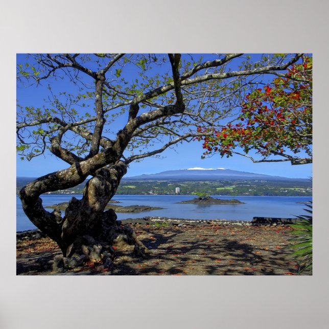 MAUNA KEA ÖVER HILO BAY POSTER (Framsidan)