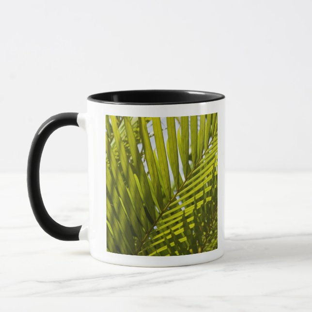 Mauritius, Centrala Mauritius, Moka, palm 2 Mugg (Vänster)