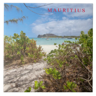 Mauritius Ilot Gabriel-strandvisare keramisk platt Kakelplatta