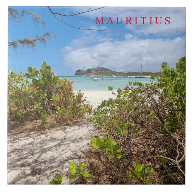 Mauritius Ilot Gabriel-strandvisare keramisk platt Kakelplatta (Framsidan)