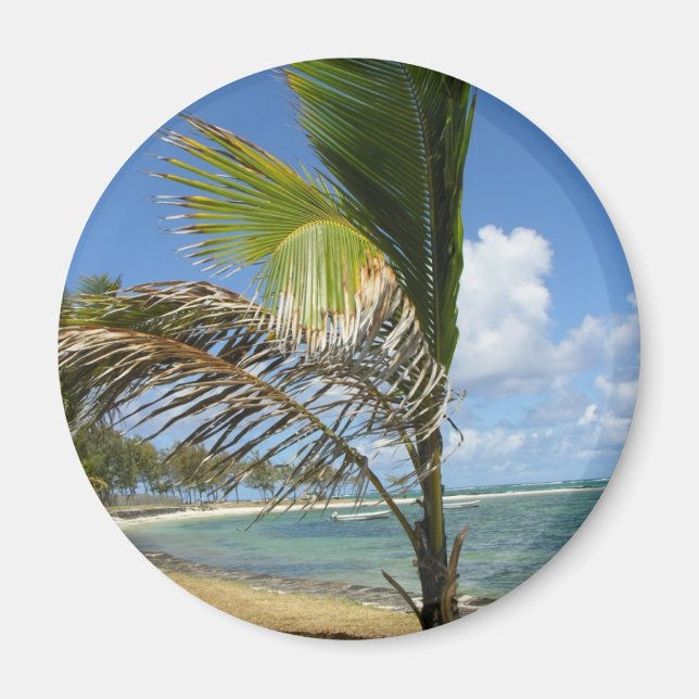 Mauritius Magnet (Framsidan)