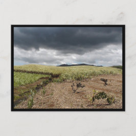 Mauritius / Maurice Vykort