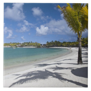 Mauritius, Östra Mauritius, Trou d' Eau Douce, Kakelplatta