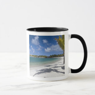 Mauritius, östra Mauritius, Trou d' Eau Douce, Mugg