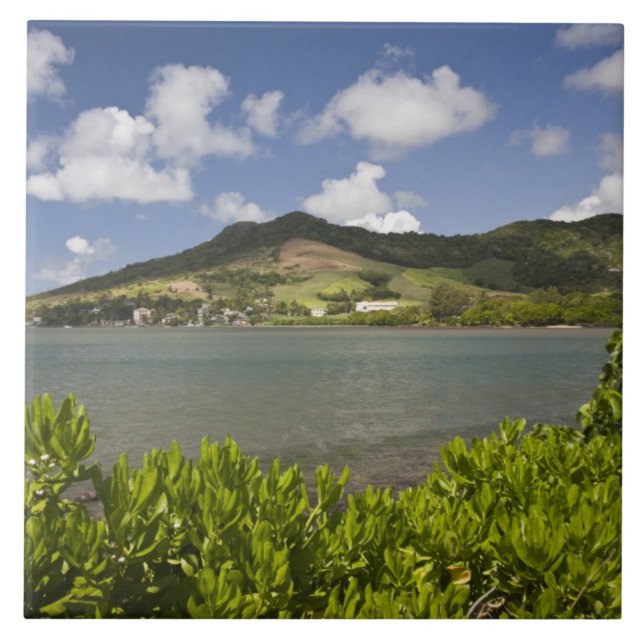 Mauritius, södra Mauritius, Grand Sable, Kakelplatta (Framsidan)