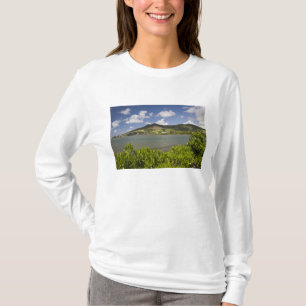 Mauritius, Södra Mauritius, Grand Sable, T-shirt