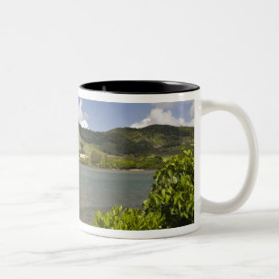 Mauritius, Södra Mauritius, Grand Sable, Två-Tonad Mugg