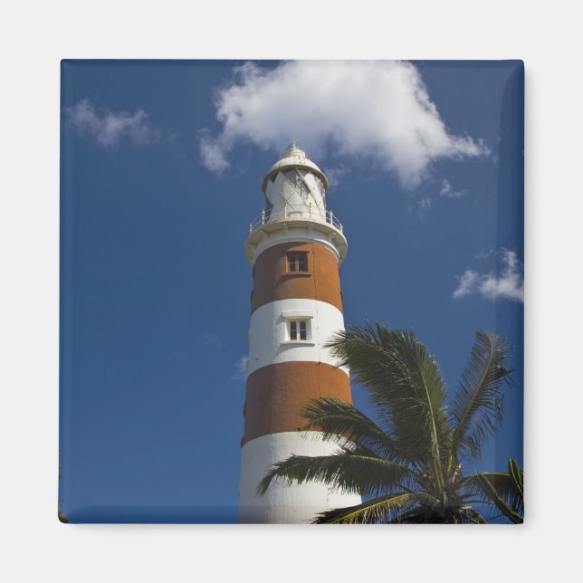 Mauritius, västra Mauritius, Belle Vue, Albion Magnet (Framsidan)