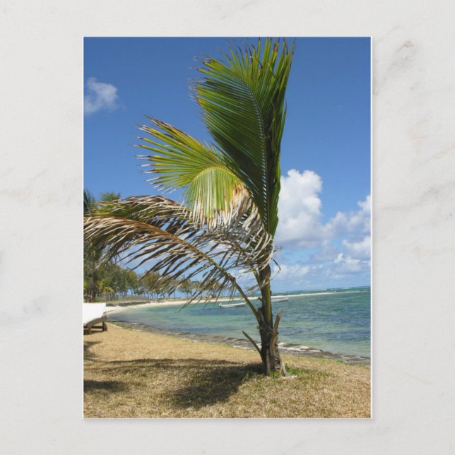 Mauritius Vykort (Framsida)