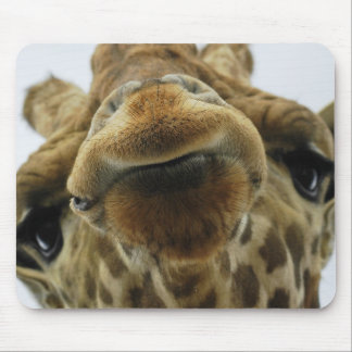 Mauspad Giraffe Kuss Musmatta