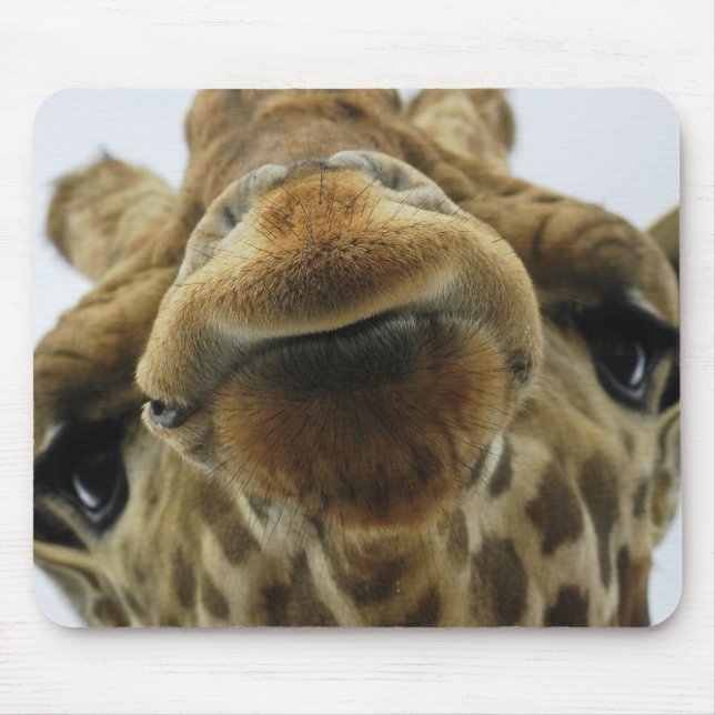 Mauspad Giraffe Kuss Musmatta (Framsidan)