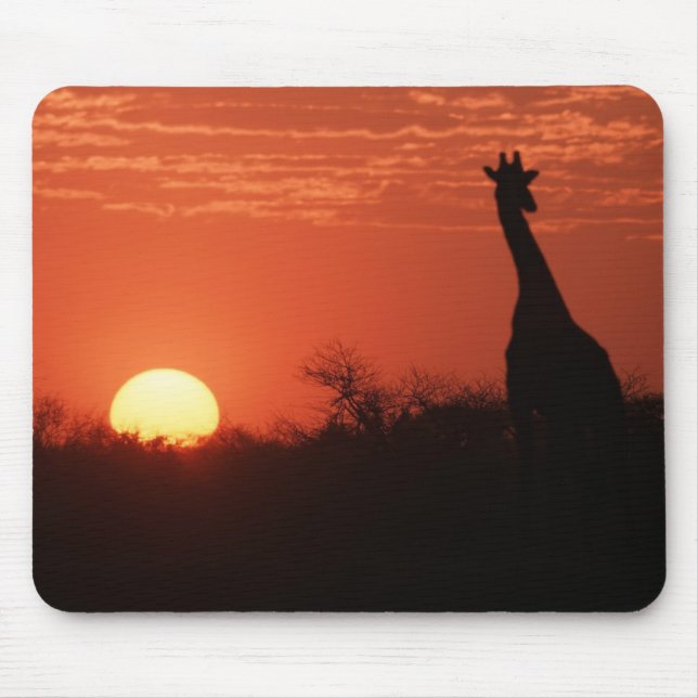 Mauspad Giraffe Sonnenuntergang Musmatta (Framsidan)