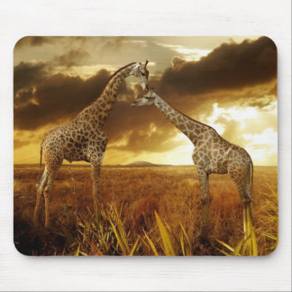 Mauspad Giraffen Sonnenuntergang Musmatta