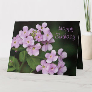 Mauve Blommigt Grattis på födelsedagen Kort