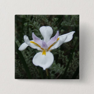 MAUVE IRISBLOMMAEMBLEM KNAPP