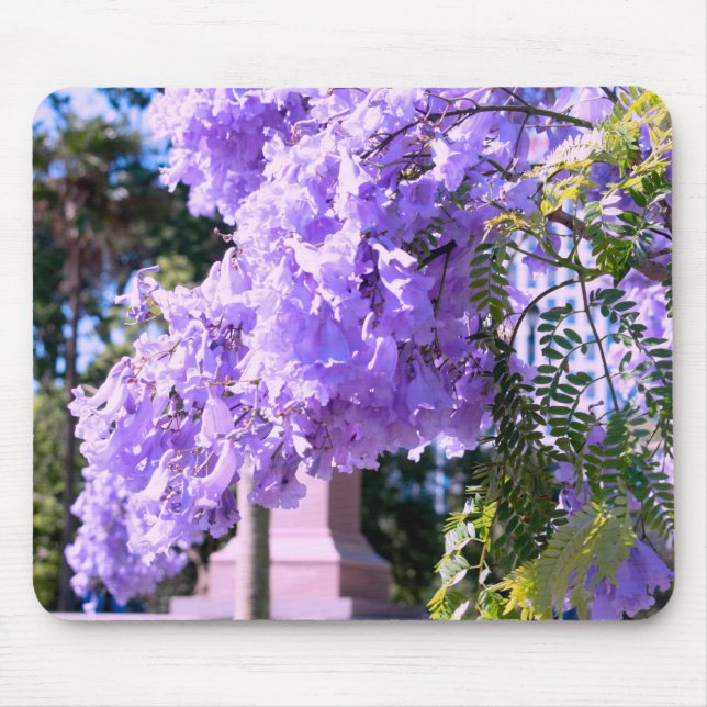 Mauve klockträd musmatta (Framsidan)