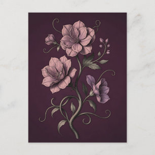 Mauve Lila Anemon Blomma Mörk Botanisk  Vykort