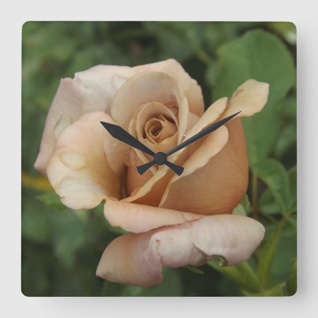 Mauve Ro Fyrkantig Klocka (Framsida)