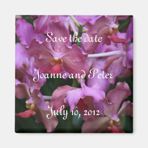 Mauve Singapore Orchidmagnet Magnet