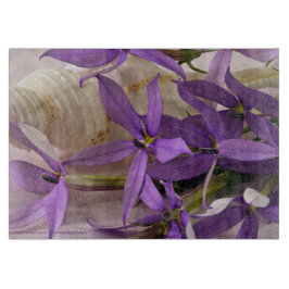 Mauve Starshine Laurentia