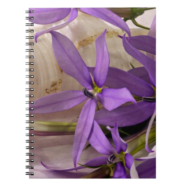 Mauve Starshine Laurentia Anteckningsbok (Framsidan)