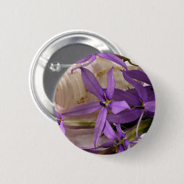 Mauve Starshine Laurentia Knapp