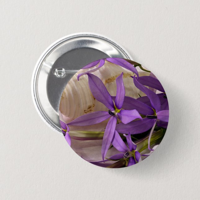 Mauve Starshine Laurentia Knapp (Framsida & baksida)