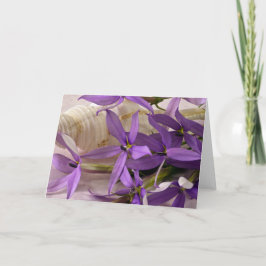 Mauve Starshine Laurentia Kort