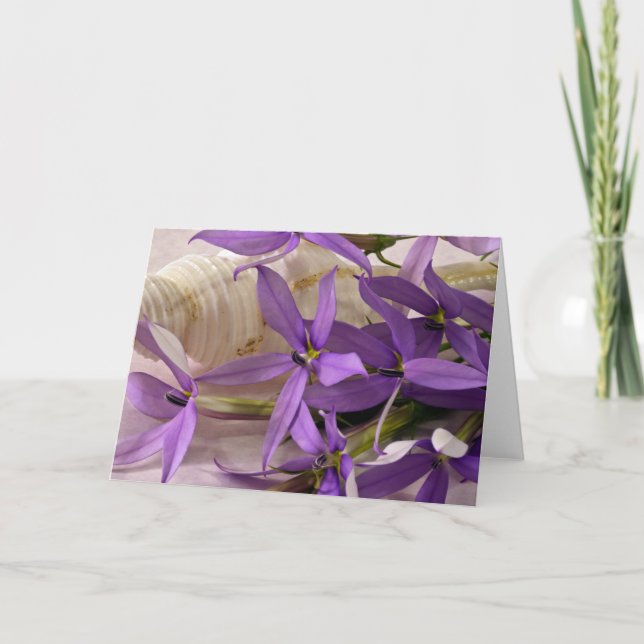 Mauve Starshine Laurentia Kort (Framsida)