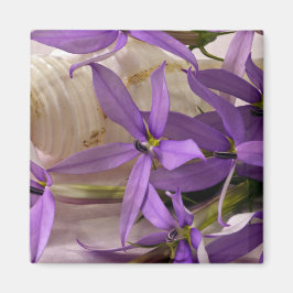 Mauve Starshine Laurentia Magnet