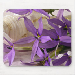 Mauve Starshine Laurentia Musmatta