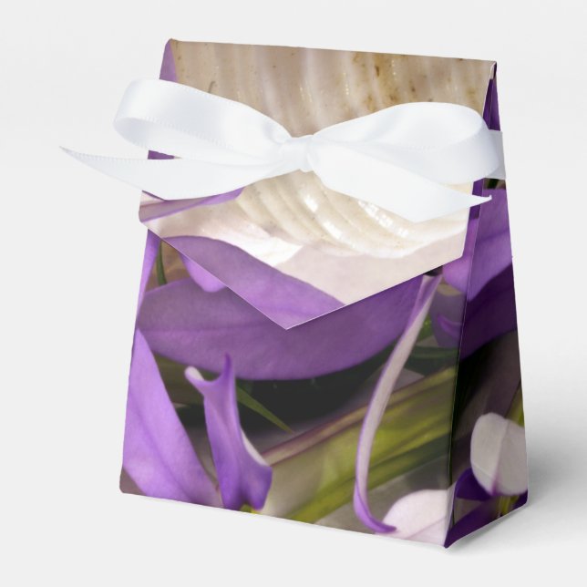 Mauve Starshine Laurentia Presentaskar (Framsidan Sidan)