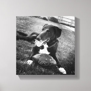 maverick canvastryck