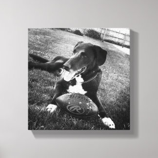 maverick canvastryck