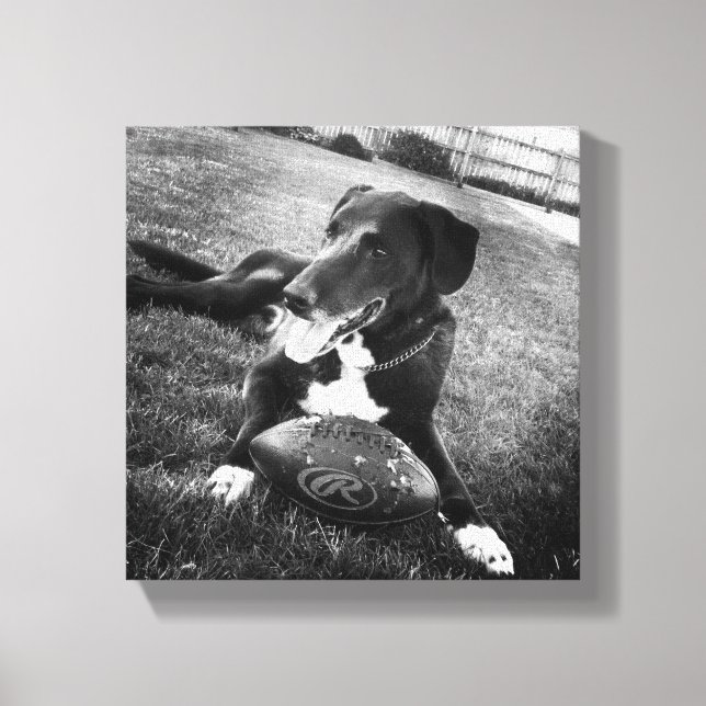 maverick canvastryck (Framsida)