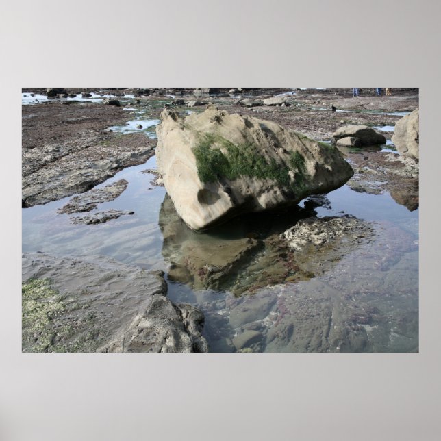 Mavericks Poster (Framsidan)