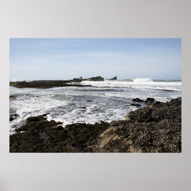 Mavericks Poster (Framsidan)