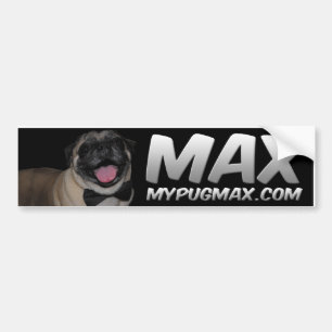 Max bildekal