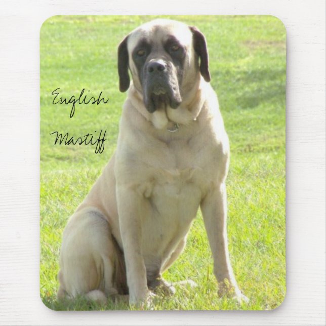 Max engelsk Mastiff Musmatta (Framsidan)