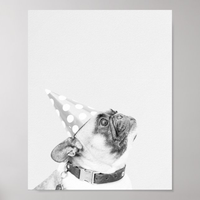 Max. Fransk Bulldog Poster (Framsidan)