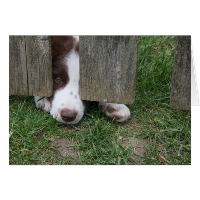 Max Hälsningskort (Framsidan Horizontal)