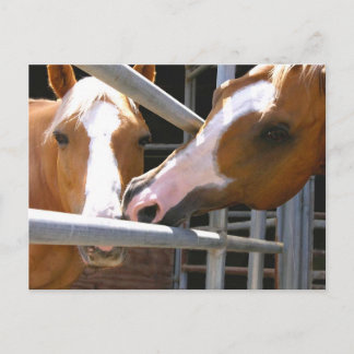 Max & hans son Leonardo Vykort